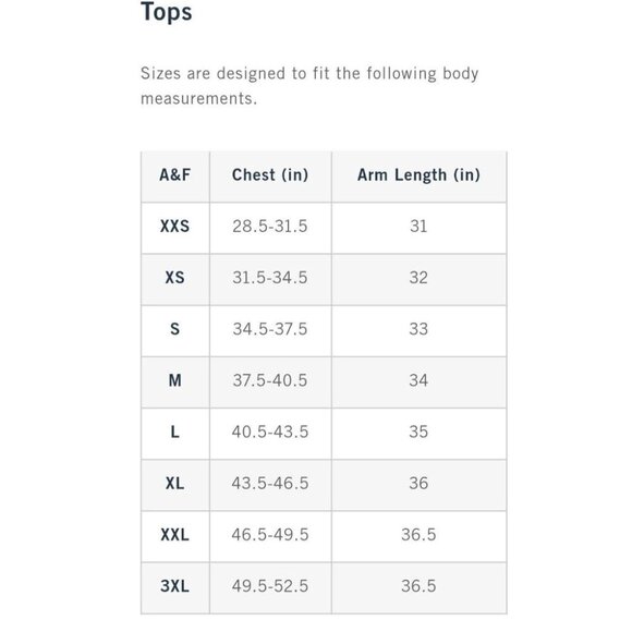 Abercrombie & Fitch Classic Polished Tee XXL Blue-Grey - Picture 10 of 10